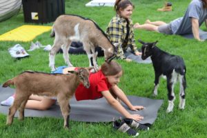 Goat Yoga at Farmer Market Council Bluffs
